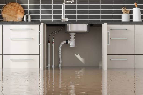 Best Professional water damage repair  in Centerville, SC